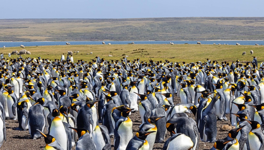 International teaching jobs closing this week   9 June 2025